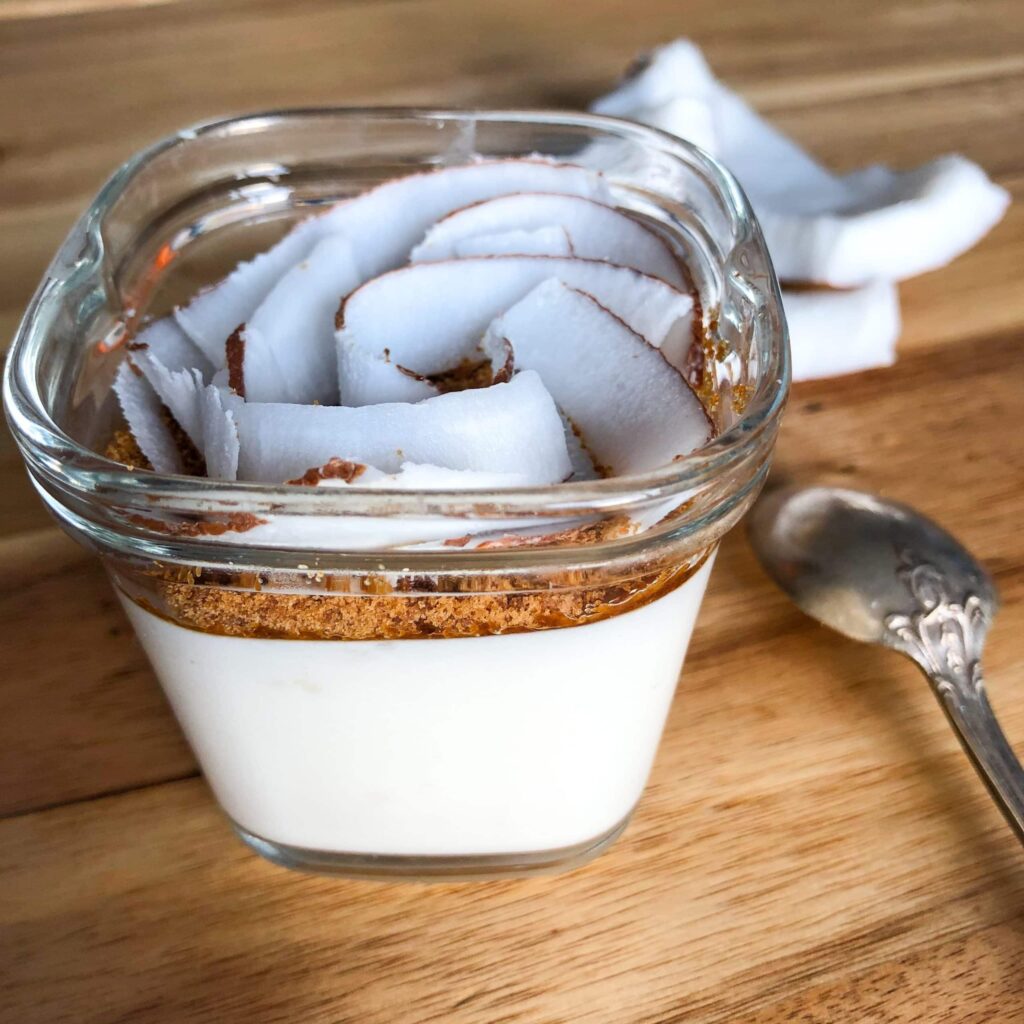 yaourt végétal à la coco à la yaourtière